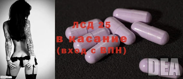 ПСИЛОЦИБИНОВЫЕ ГРИБЫ Арсеньев